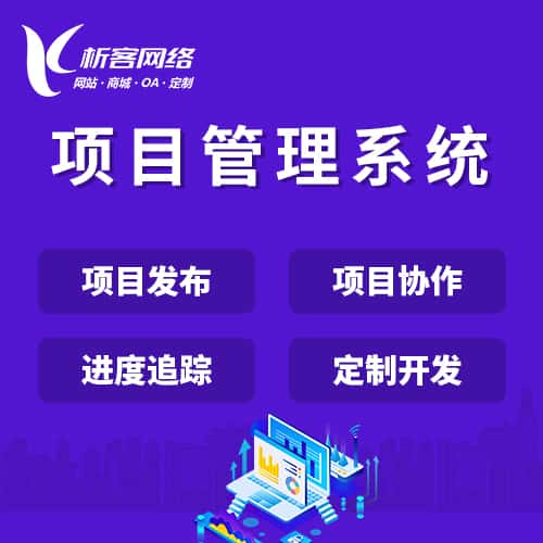 嘉义项目管理系统