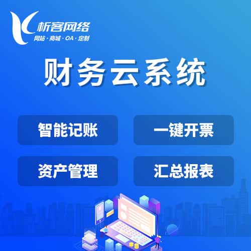 嘉义财务云系统