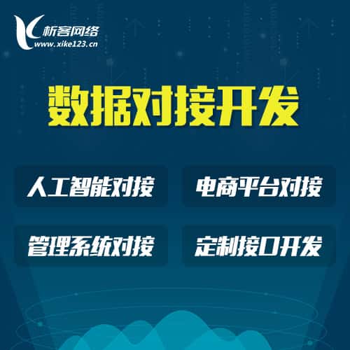嘉义智能数据对接