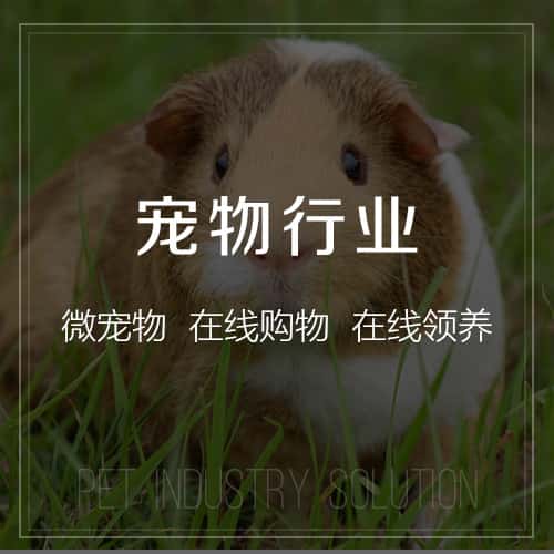 嘉义宠物
