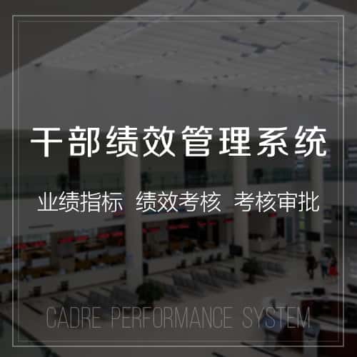 嘉义干部绩效管理