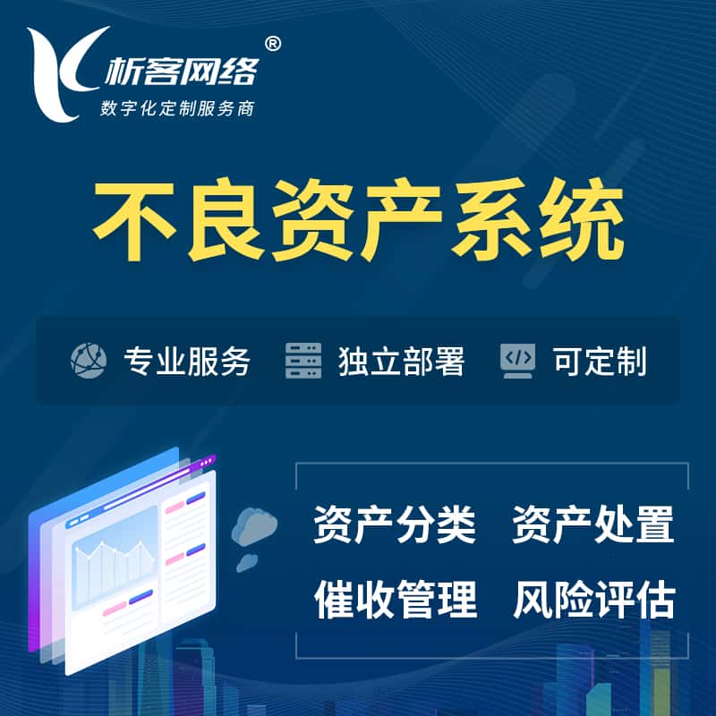 嘉义不良资产管理系统