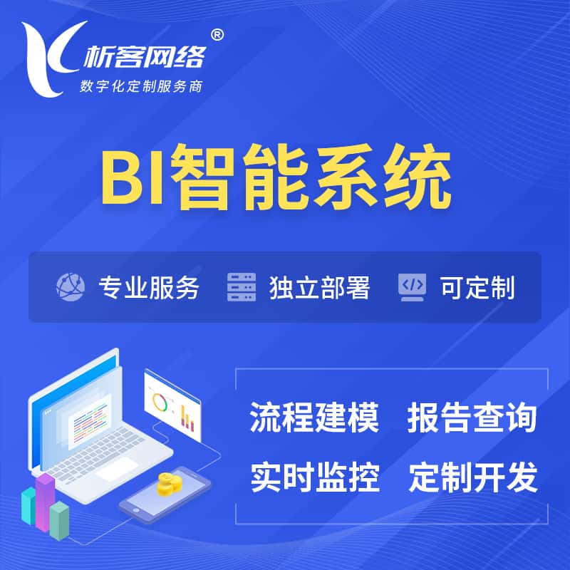 嘉义BI智能系统 | BI数据可视化
