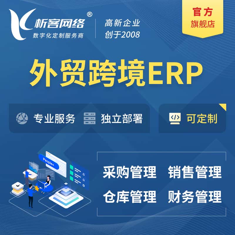 嘉义外贸跨境ERP软件生产海外仓ERP管理系统